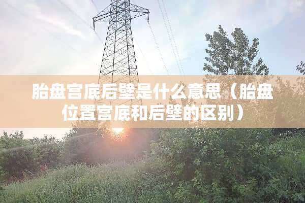 胎盘宫底后壁是什么意思（胎盘位置宫底和后壁的区别）