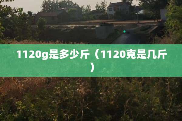 1120g是多少斤（1120克是几斤）