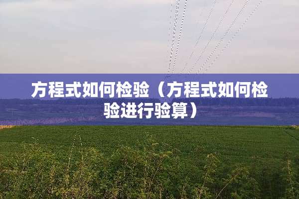 方程式如何检验（方程式如何检验进行验算）