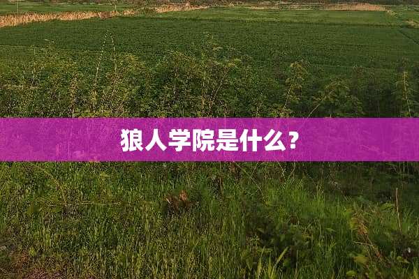 狼人学院是什么？