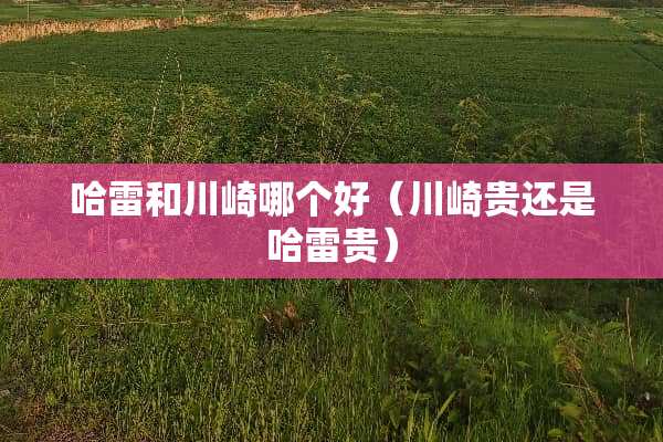 哈雷和川崎哪个好（川崎贵还是哈雷贵）