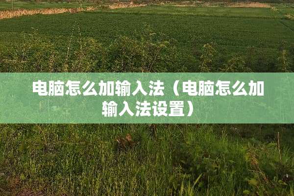 电脑怎么加输入法（电脑怎么加输入法设置）