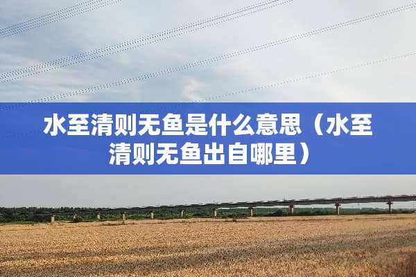 水至清则无鱼是什么意思（水至清则无鱼出自哪里）