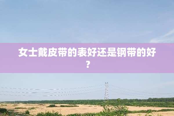 女士戴皮带的表好还是钢带的好？