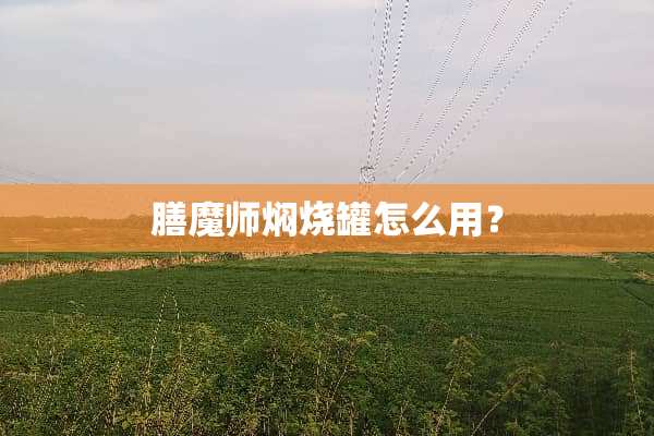 膳魔师焖烧罐怎么用？