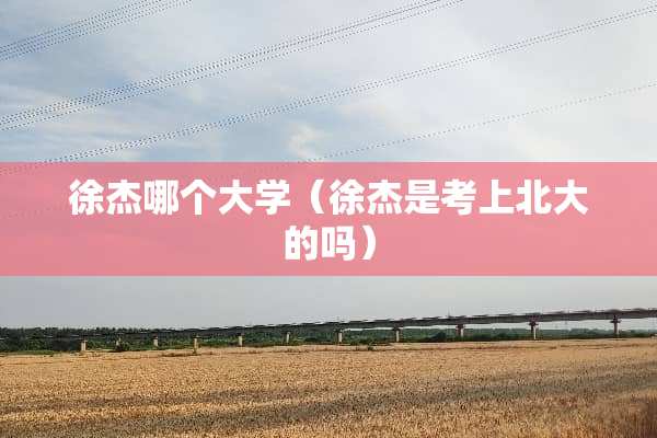徐杰哪个大学（徐杰是考上北大的吗）