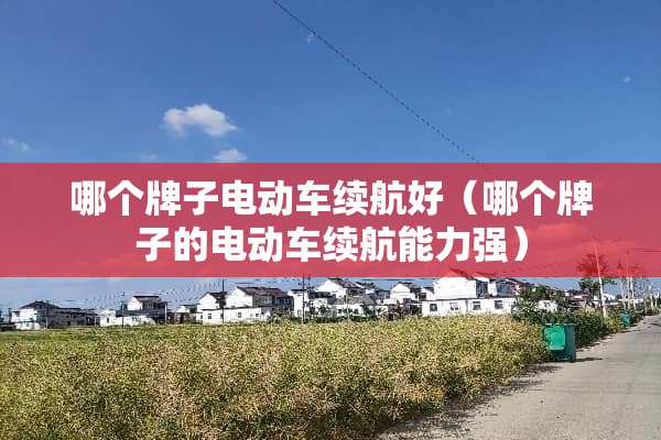 哪个牌子电动车续航好（哪个牌子的电动车续航能力强）