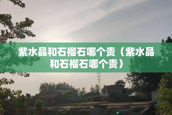 紫水晶和石榴石哪个贵（紫水晶和石榴石哪个贵）