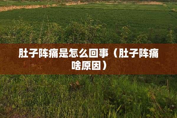 肚子阵痛是怎么回事（肚子阵痛啥原因）