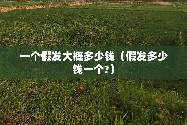 一个假发大概多少钱（假发多少钱一个?）