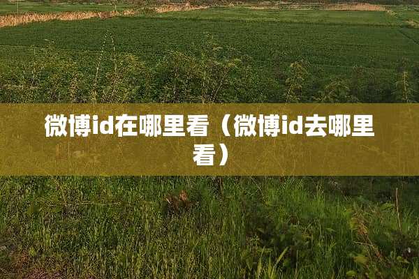 微博id在哪里看（微博id去哪里看）