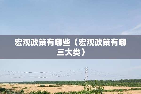 宏观政策有哪些（宏观政策有哪三大类）