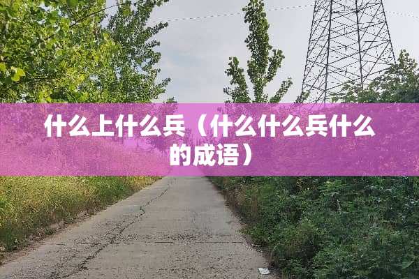 什么上什么兵（什么什么兵什么的成语）