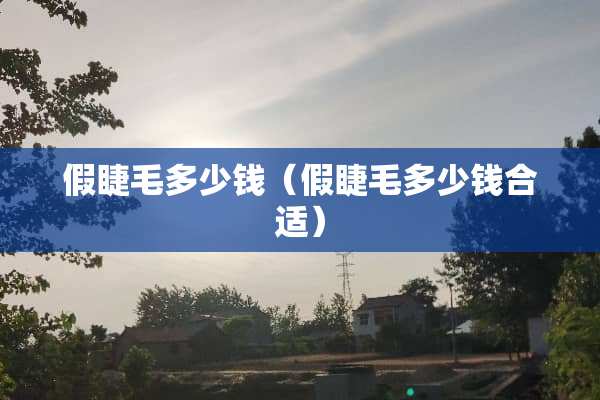 假睫毛多少钱（假睫毛多少钱合适）