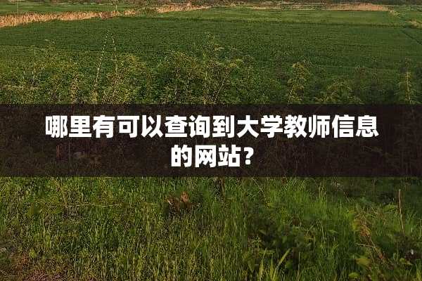 哪里有可以查询到大学教师信息的网站？