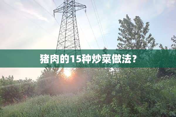 猪肉的15种炒菜做法？
