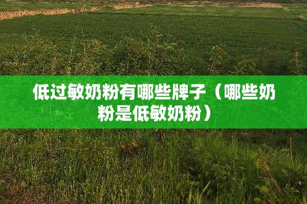 低过敏奶粉有哪些牌子（哪些奶粉是低敏奶粉）