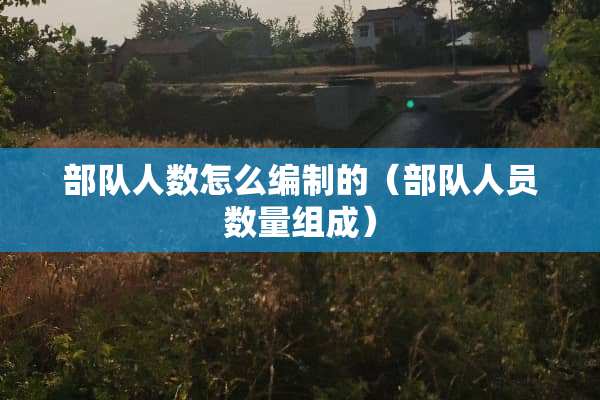 **人数怎么编制的（**人员数量组成）