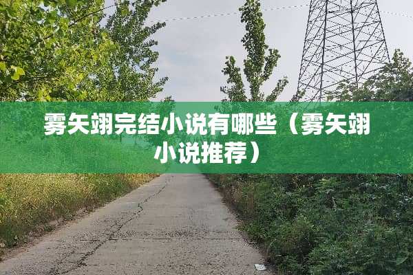 雾矢翊完结小说有哪些（雾矢翊小说推荐）