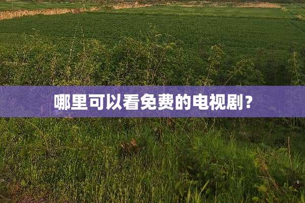 哪里可以看免费的电视剧？