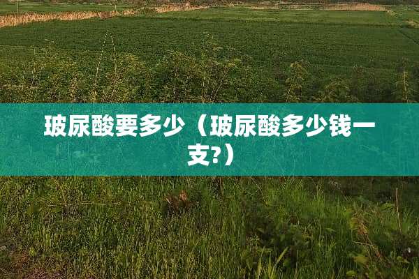 玻尿酸要多少（玻尿酸多少钱一支?）