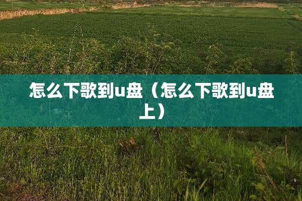 怎么下歌到u盘（怎么下歌到u盘上）