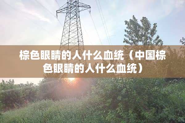 棕色眼睛的人什么血统（中国棕色眼睛的人什么血统）