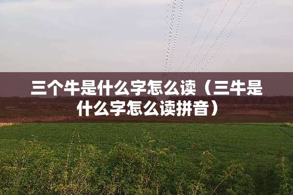 三个牛是什么字怎么读（三牛是什么字怎么读拼音）
