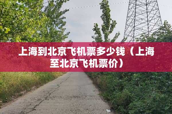 上海到北京飞机票多少钱（上海至北京飞机票价）
