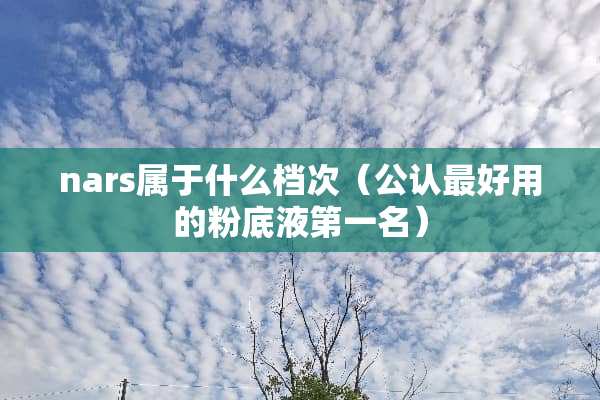 nars属于什么档次（公认最好用的粉底液第一名）