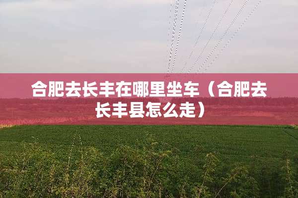 合肥去长丰在哪里坐车（合肥去长丰县怎么走）