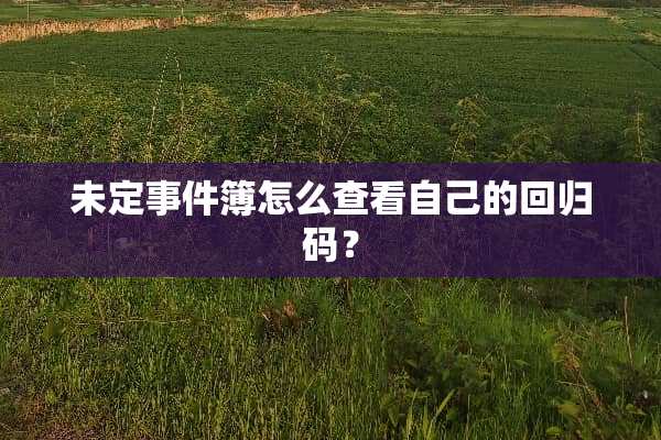 未定事件簿怎么查看自己的回归码？