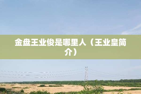 金盘王业俊是哪里人（王业皇简介）