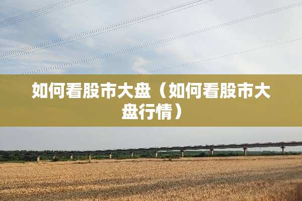 如何看股市大盘（如何看股市大盘行情）