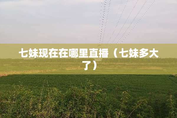 七妹现在在哪里直播（七妹多大了）