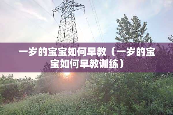 一岁的宝宝如何早教（一岁的宝宝如何早教训练）