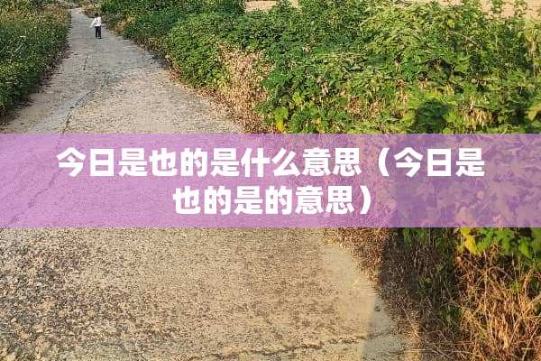今日是也的是什么意思（今日是也的是的意思）