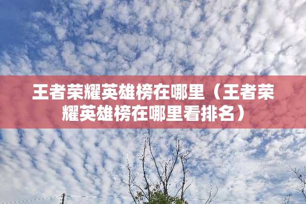 王者荣耀英雄榜在哪里（王者荣耀英雄榜在哪里看排名）