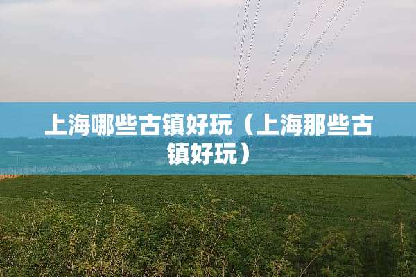 上海哪些古镇好玩（上海那些古镇好玩）