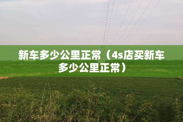 新车多少公里正常（4s店买新车多少公里正常）