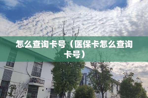 怎么查询卡号（医保卡怎么查询卡号）