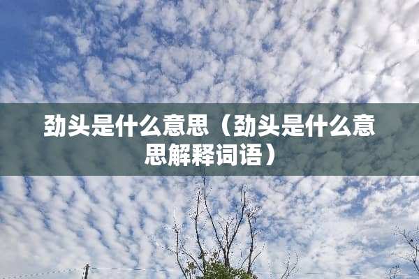 劲头是什么意思（劲头是什么意思解释词语）