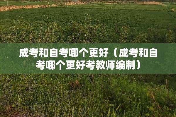 成考和自考哪个更好（成考和自考哪个更好考教师编制）