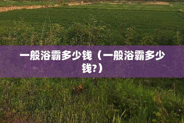 一般浴霸多少钱（一般浴霸多少钱?）