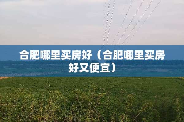 合肥哪里买房好（合肥哪里买房好又便宜）