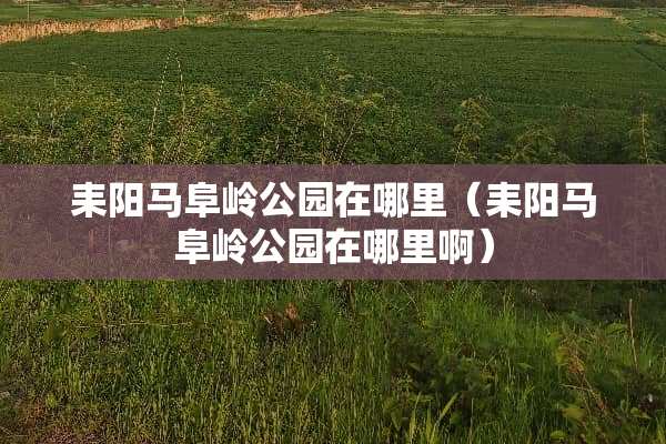 耒阳马阜岭公园在哪里（耒阳马阜岭公园在哪里啊）