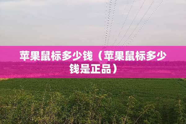 苹果鼠标多少钱（苹果鼠标多少钱是正品）