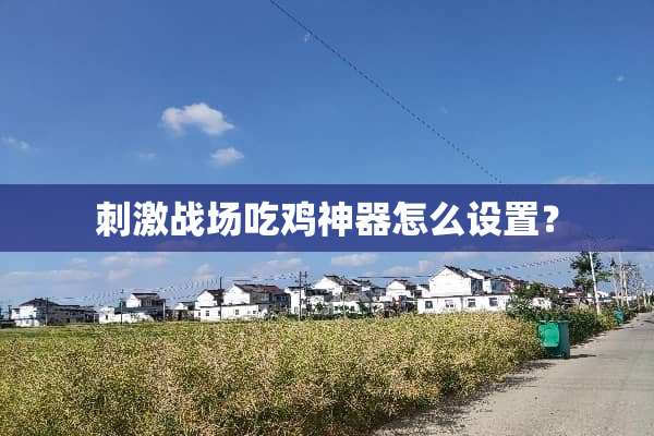 **战场吃鸡神器怎么设置？