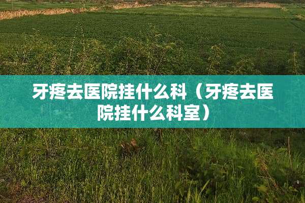 牙疼去医院挂什么科（牙疼去医院挂什么科室）