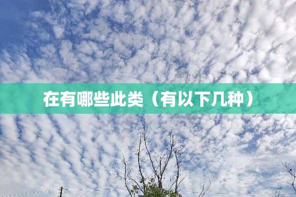 在有哪些此类（有以下几种）